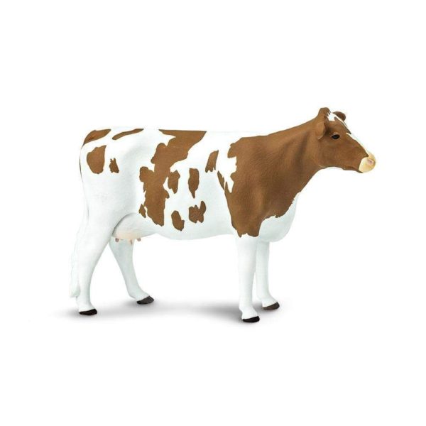 Αγελάδα Ayrshire